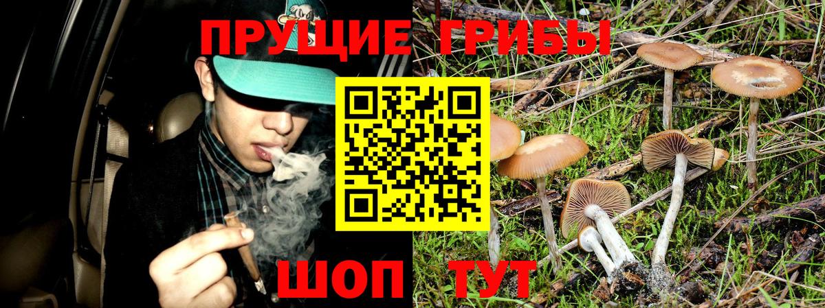 Галлюциногенные грибы MAGIC MUSHROOMS Губкинский